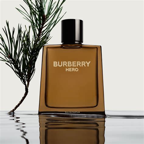 Burberry: Fragrance for Men 